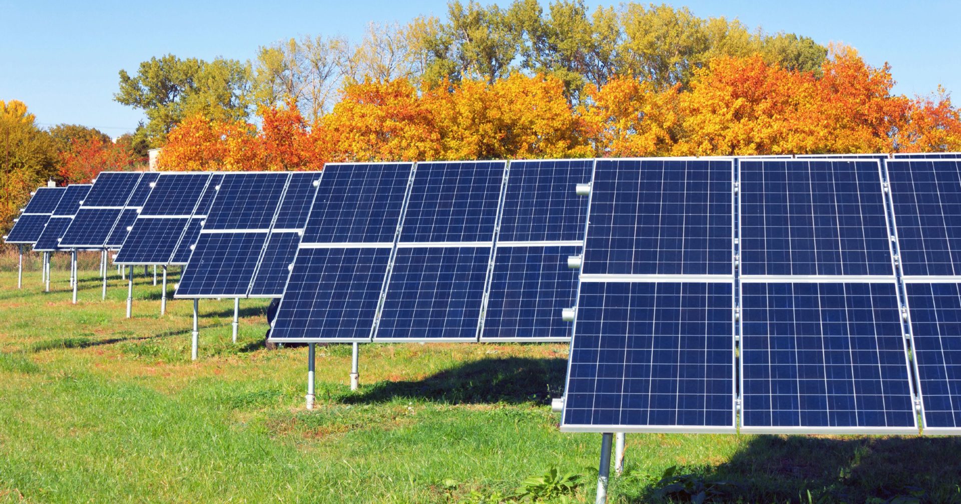 Reasons To Go Solar In Fall